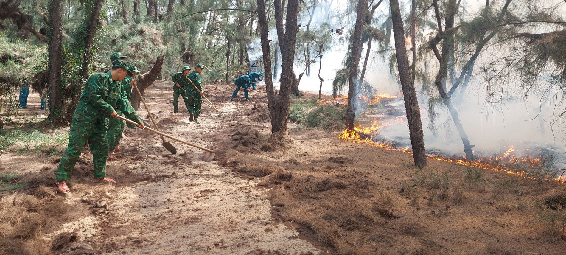 Bộ đội Biên phòng tỉnh Bình Định phối hợp chữa cháy rừng phòng hộ 